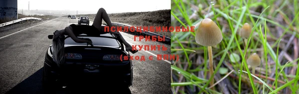 дживик Михайлов
