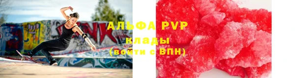 ГАЛЛЮЦИНОГЕННЫЕ ГРИБЫ Гусев